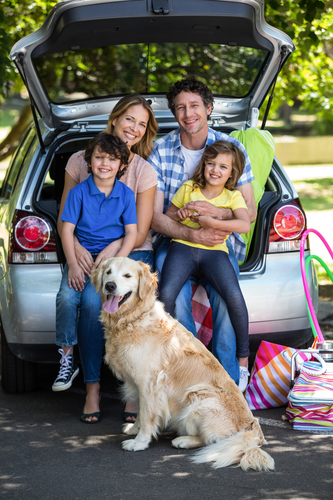 Road Trip With Your Pets - Pet Wants